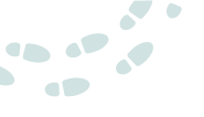 Trail of feet